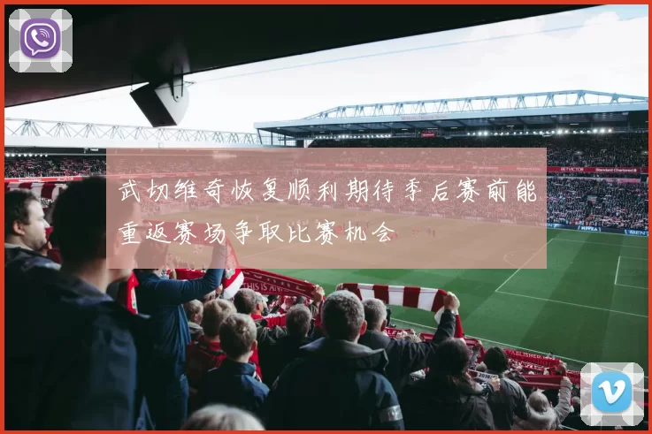 武切维奇恢复顺利期待季后赛前能重返赛场争取比赛机会