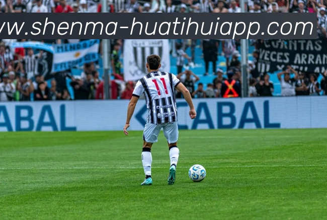 华体会体育平台生态图